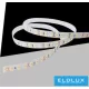 Bandă LED UNIVERSO cu două rânduri DC:24V 2835-240D 16w-1850lm/metru 3000k IP20 10mm x 10 metri 3 ani