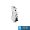 Întrerupător miniatural KANLUX KMB6-C50/1