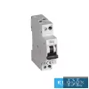 Întrerupător miniatural KANLUX KMBN6-C32/1