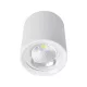 FLCOM PROIECTOR LED PENTRU SUPRAFEȚE 40W 230V 4000K 60° ALB