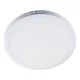 PANOU LED STELLAR PENTRU SUPRAFEȚE ROTUNDE 24W 2700K