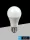 Bec LED UNIVERSO E27 DC12-24v 10w 900lm 3000k